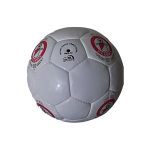 AANGEPASTE VOETBAL